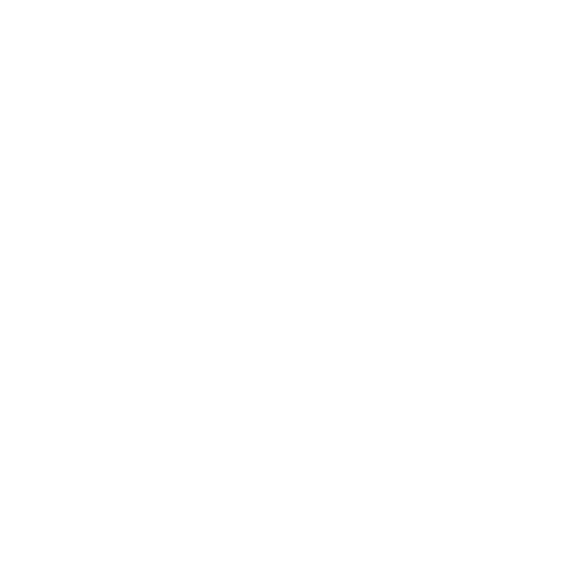 Logo for the Capstone Team