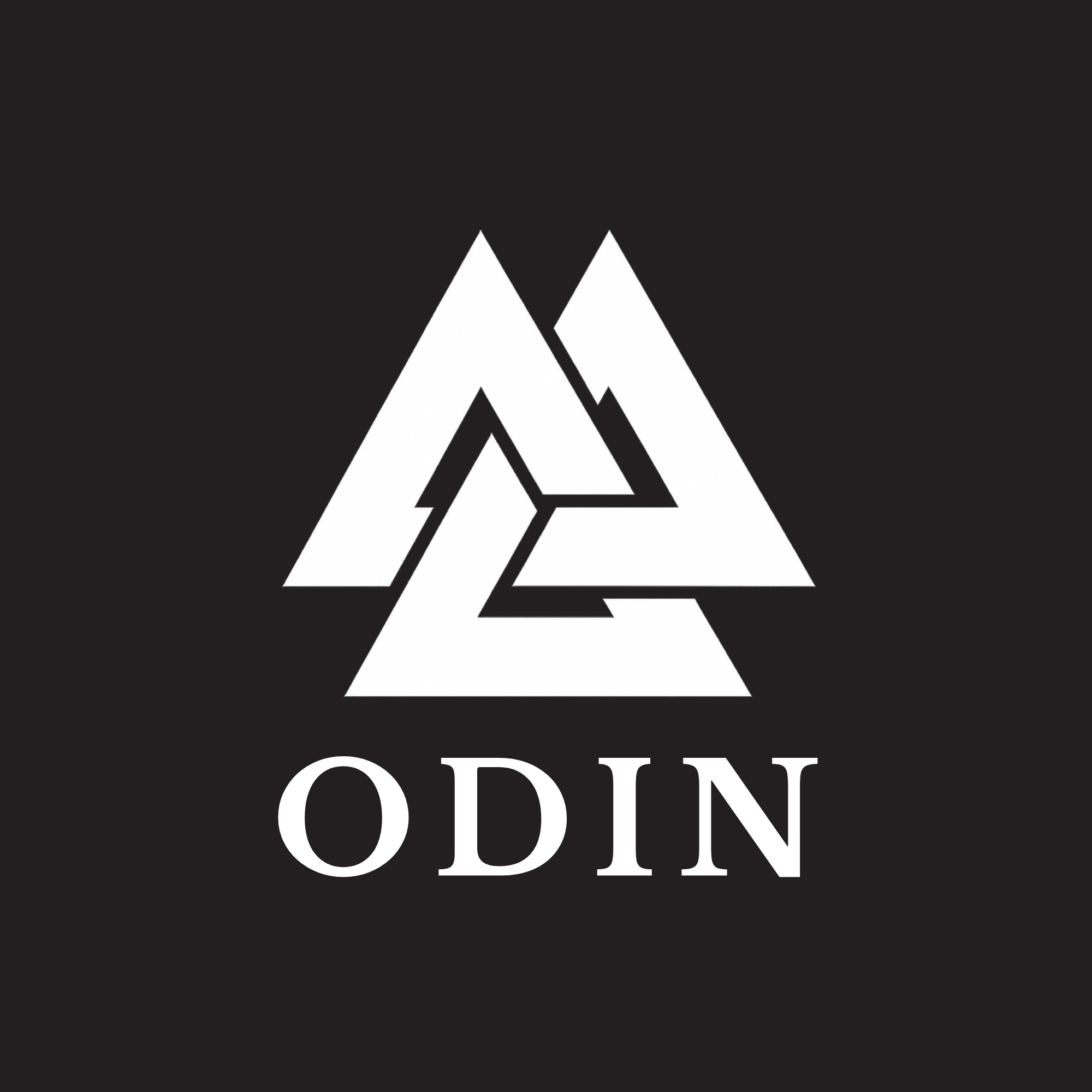 Team Odin logo