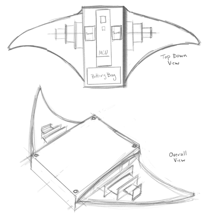 Initial Manta Ray Body Sketch