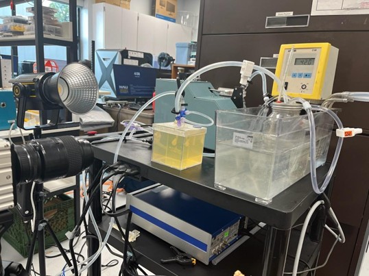 Testing Setup